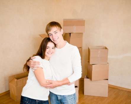 Packing and transport setup for removals and storage in Hollandpark
