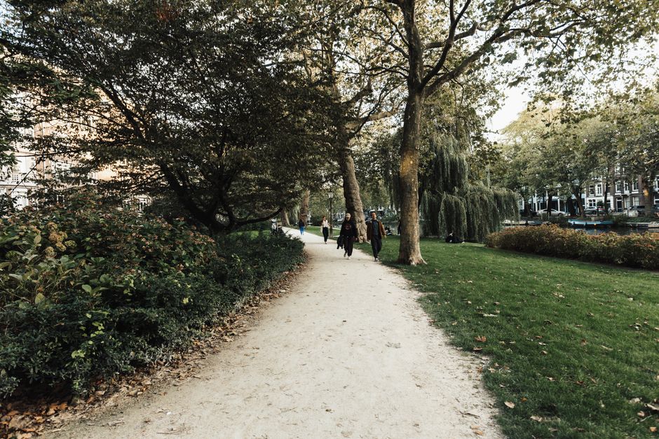 A person walking along a dirt path in a park during the late evening, with the sun setting behind trees and casting long shadows on the ground. The scene includes a grassy area with a paved pathway, a